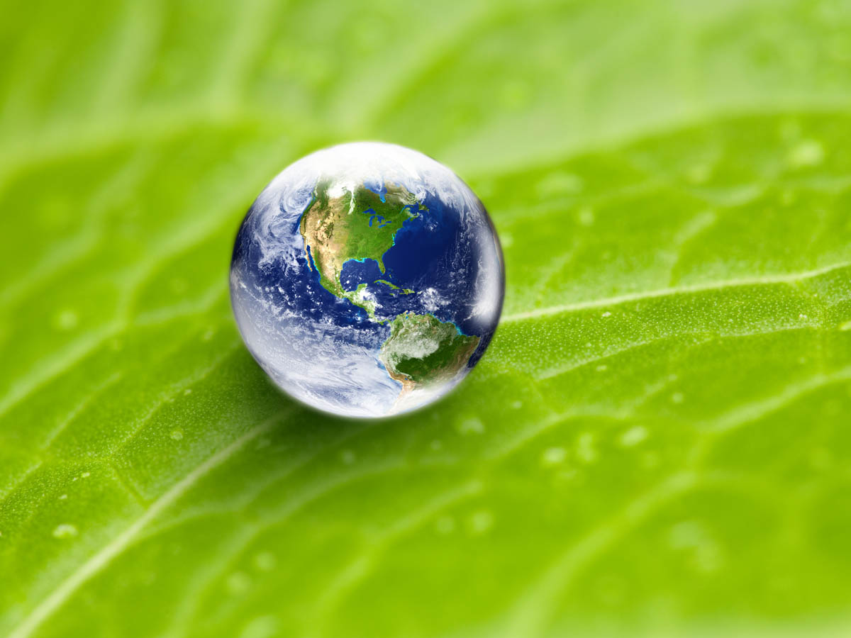 The planet Earth within a water droplet on green leaf