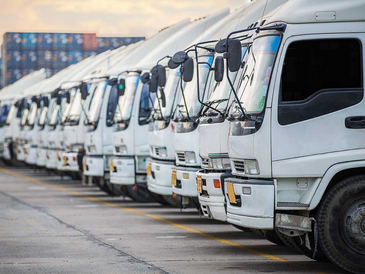Line of white company trucks parked side-by-side in docking lot