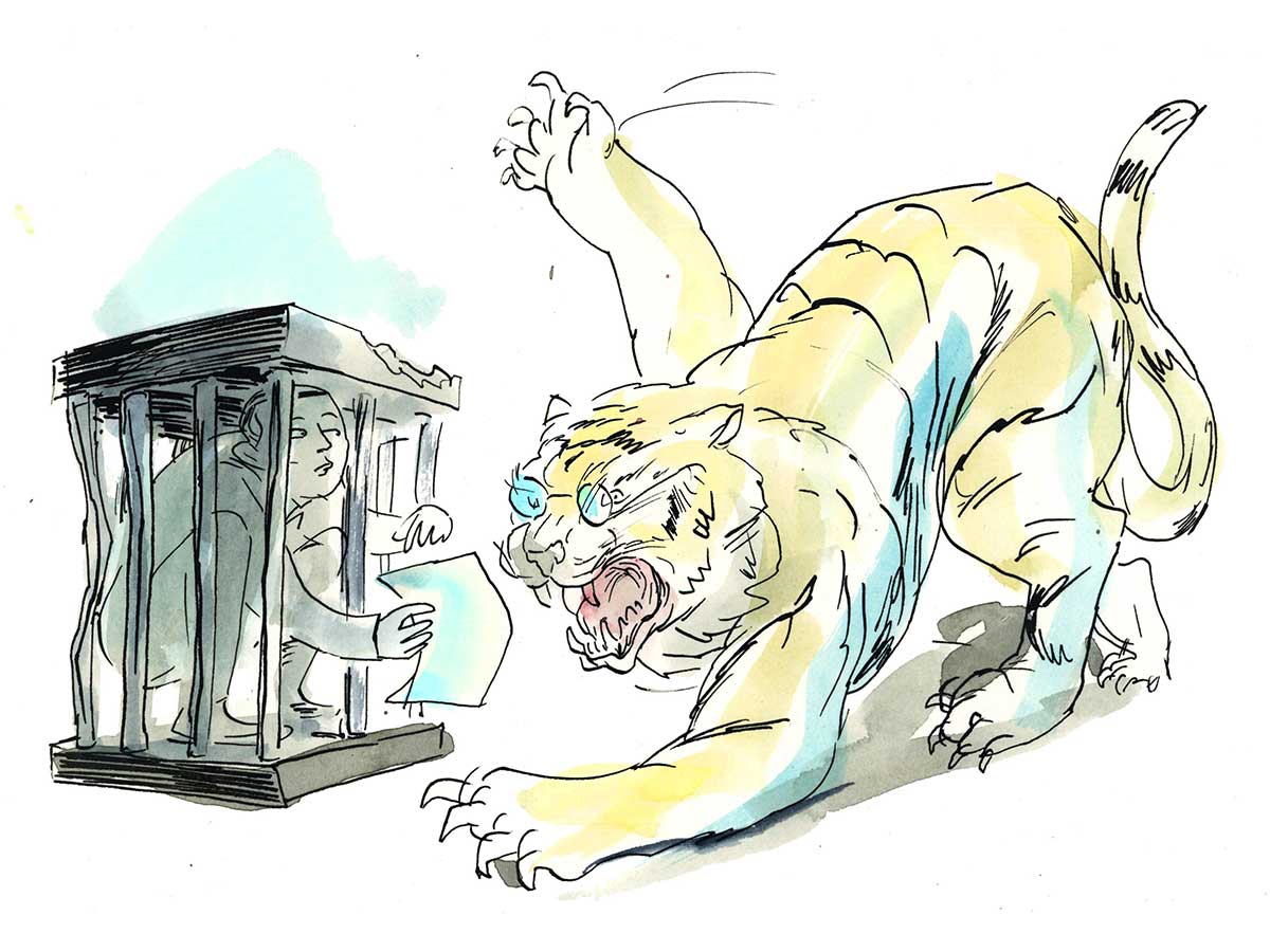 Illustration of accountant in cage with tiger wearing spectacles growling outside it