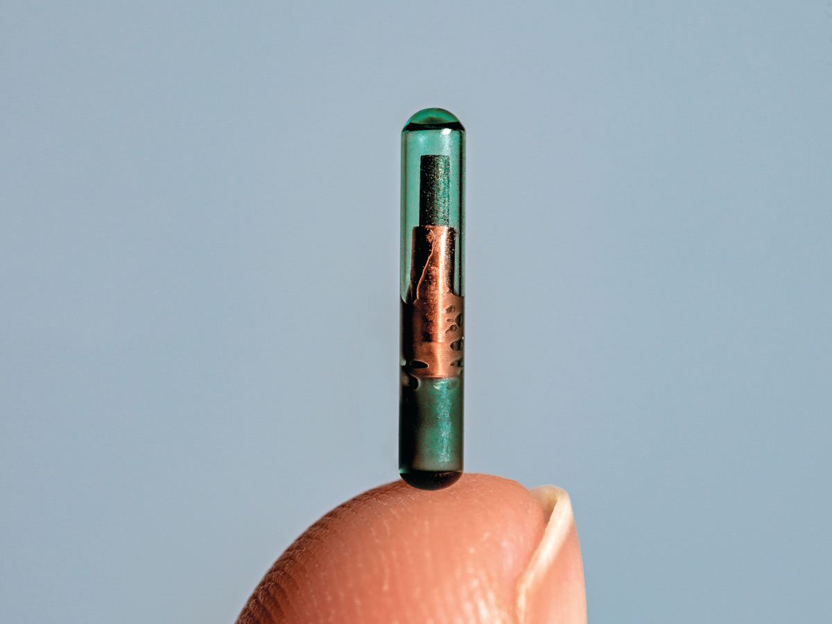 Closeup of VivoKey's implantable microchip balanced on a fingertip.
