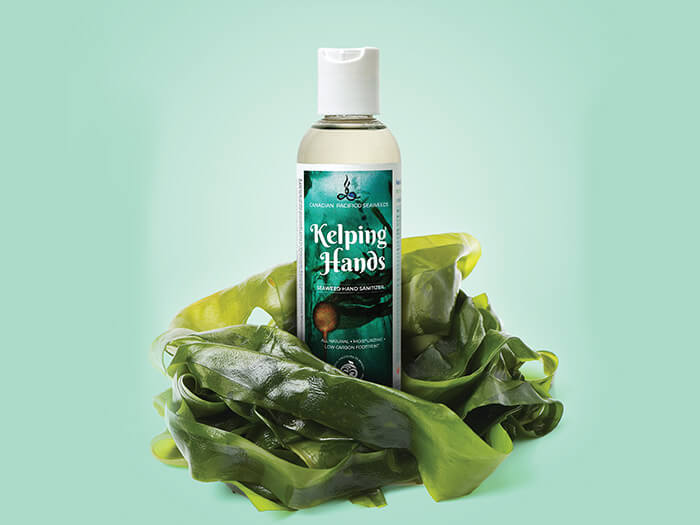 Une bouteille de Kelping Hands, un nouveau désinfectant à base de varech, enveloppée d'algues.