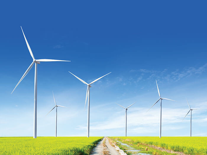 Wind turbines are shown on a grassy field against a blue sky