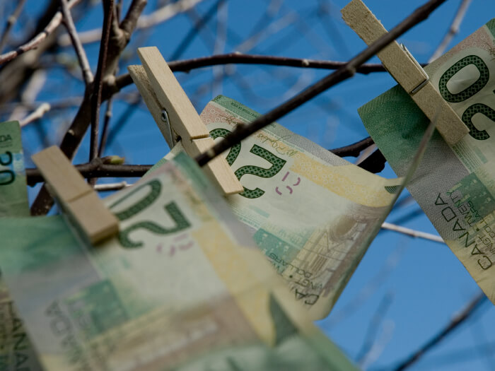 Close-up of tree branches with twenty dollar bills clipped on