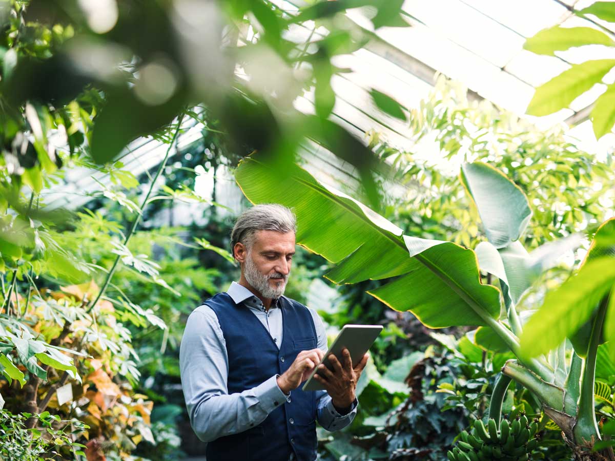 Un homme utilise une tablette dans une serre, entouré de plantes vertes.