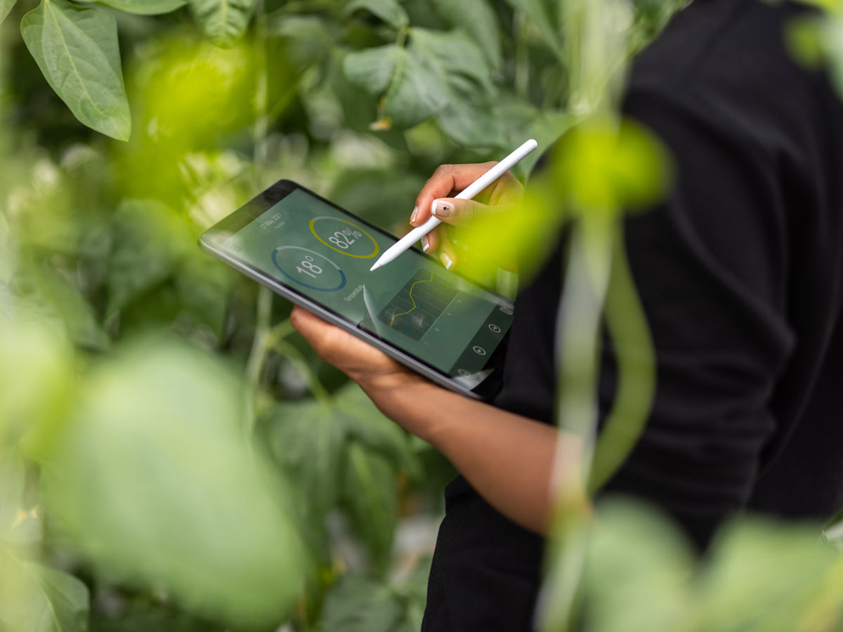 Agronome utilisant une tablette numérique pour l'analyse des plantations