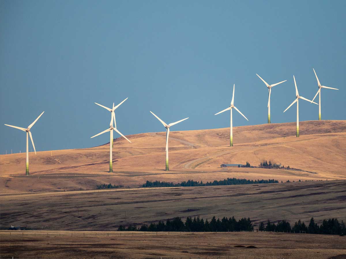 Windmills are shown throughout a large field