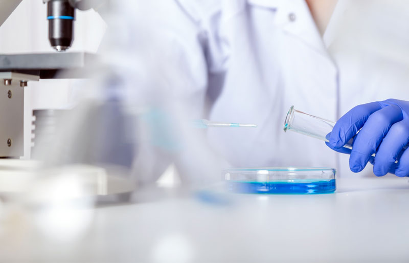 A white-coated researcher in a laboratory pours a blue liquid into a petri dish.