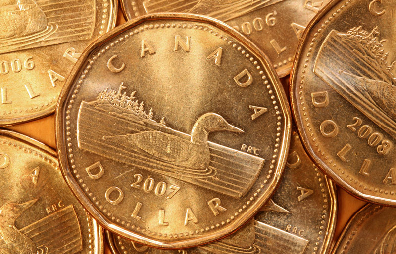 Close up of Canadian dollar coins or "loonies"