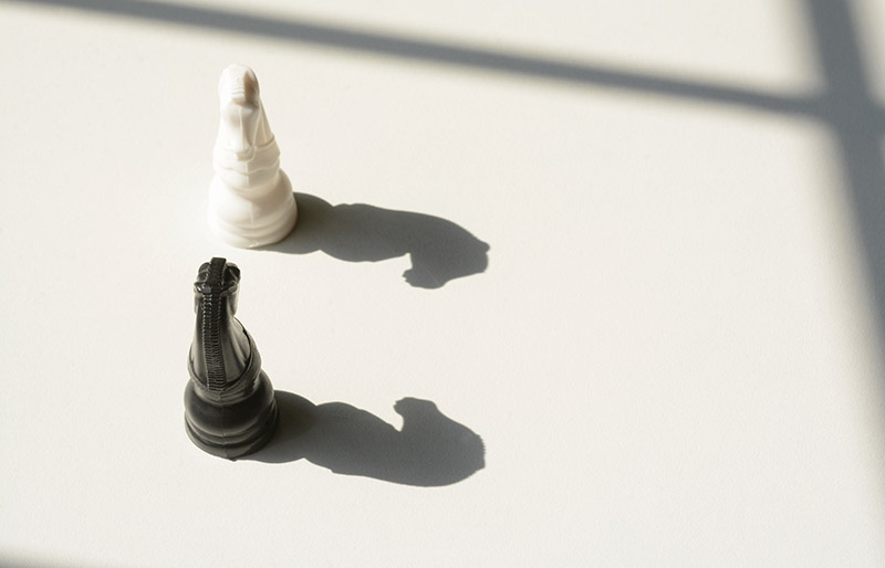 Black and white knight chess pieces facing each other.
