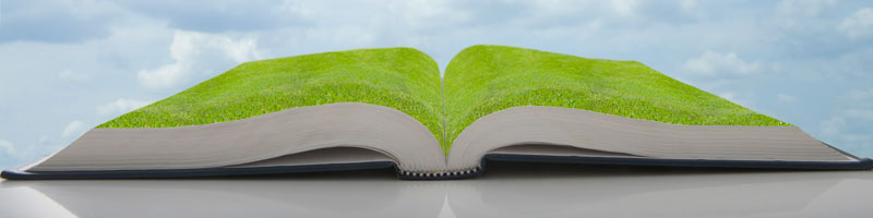 Green grass growing in pages of an open book.