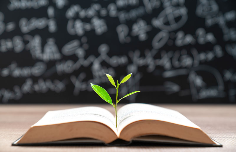 Seedling emerging from open book in front of formulas on a chalkboard.