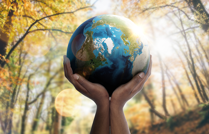 Hands holding world with forest and trees background 