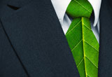 Close up of businessman's tie that is made up of a leaf