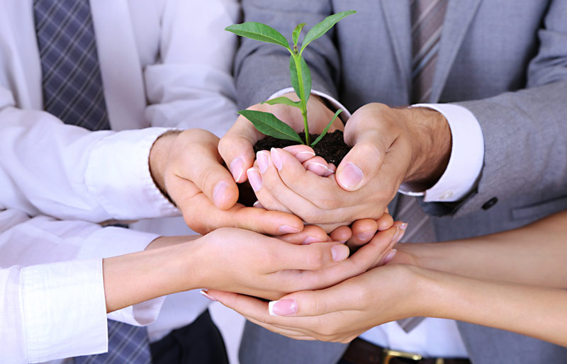 Group of business people assisting in holding a plant in dirt