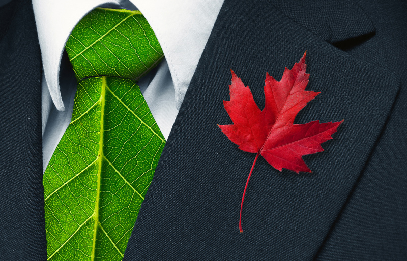 Close up of a business suit, with a tie made out of a green plant leaf, and a real red maple leaf on the lapel