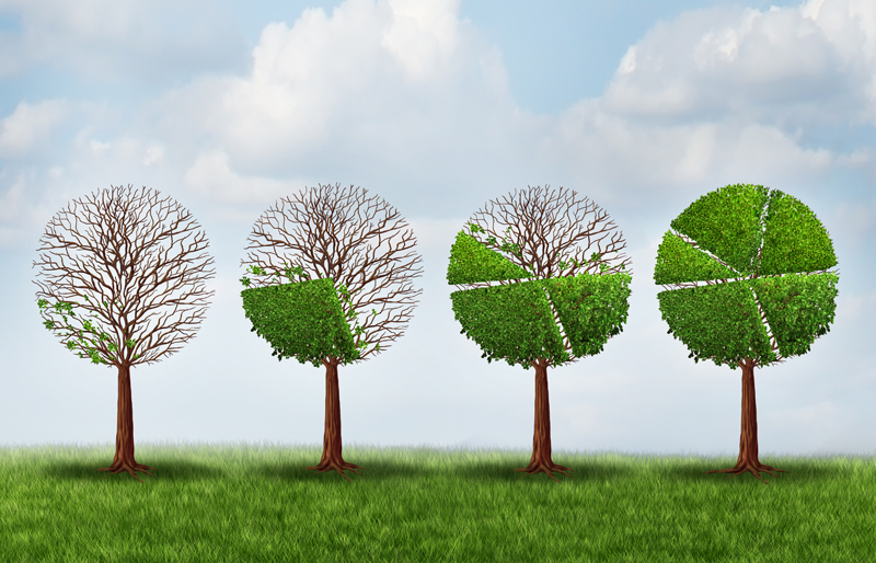 Four trees standing side-by-side, divided in to different stages of a business pie-chart 