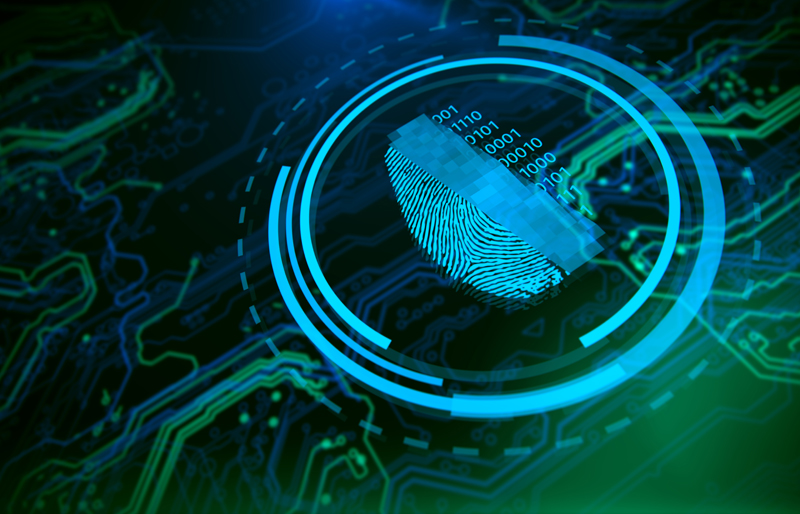 Digital fingerprint on a digital circuit board, surrounded by layers of walls representing security measures
