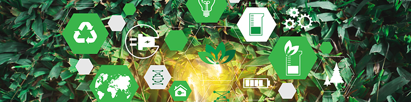 Hand holding a lit light bulb surrounded by green vegetation and eco icons for business 