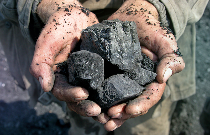 Coal miner holding raw coal in palm of hands