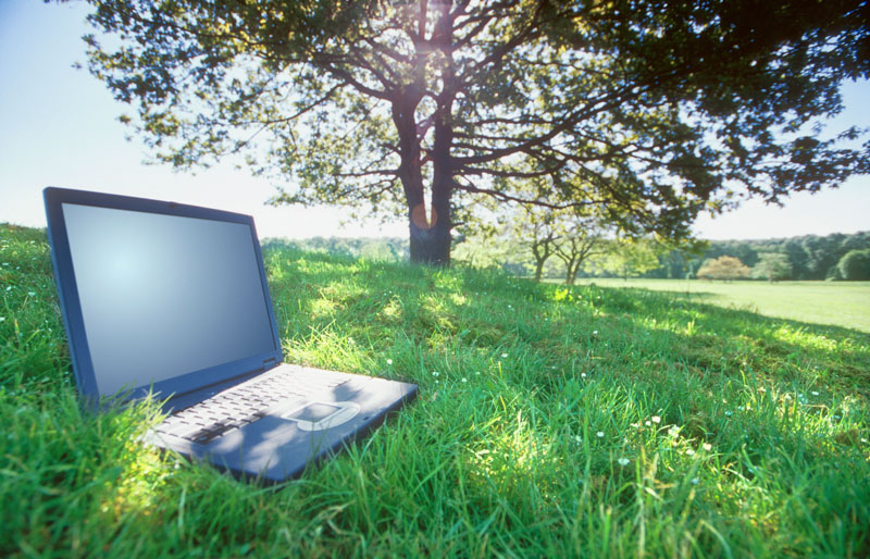 An open laptop computer sitting beneath a tree in a sunny meadow.