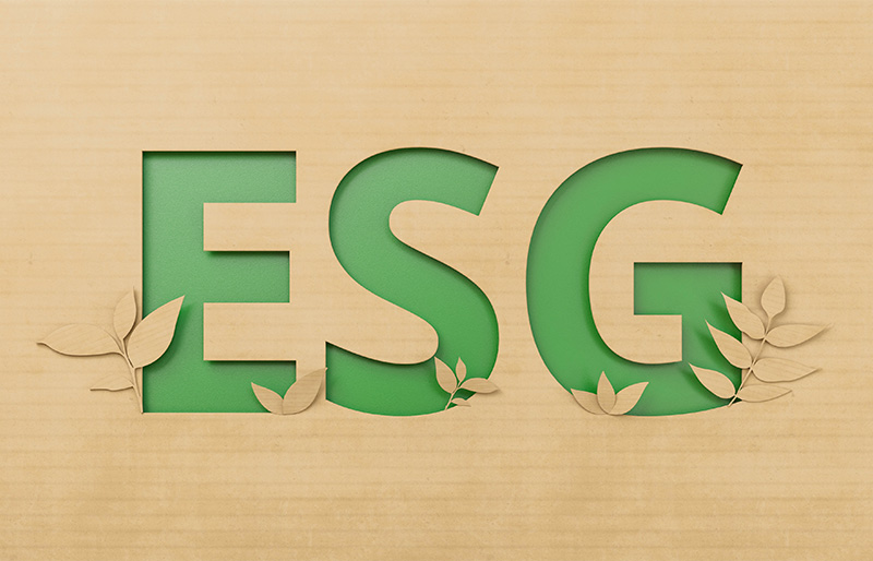 Gros plan sur un papier cartonné qui affiche les lettres E S G avec des formes de plante découpées