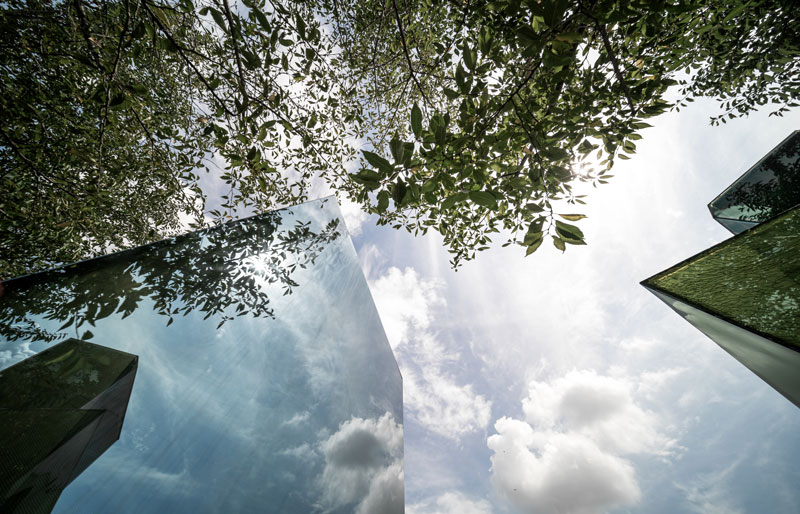 Image en contre-plongée sur des bâtiments en verre  avec le ciel qui sont entourés d'arbres