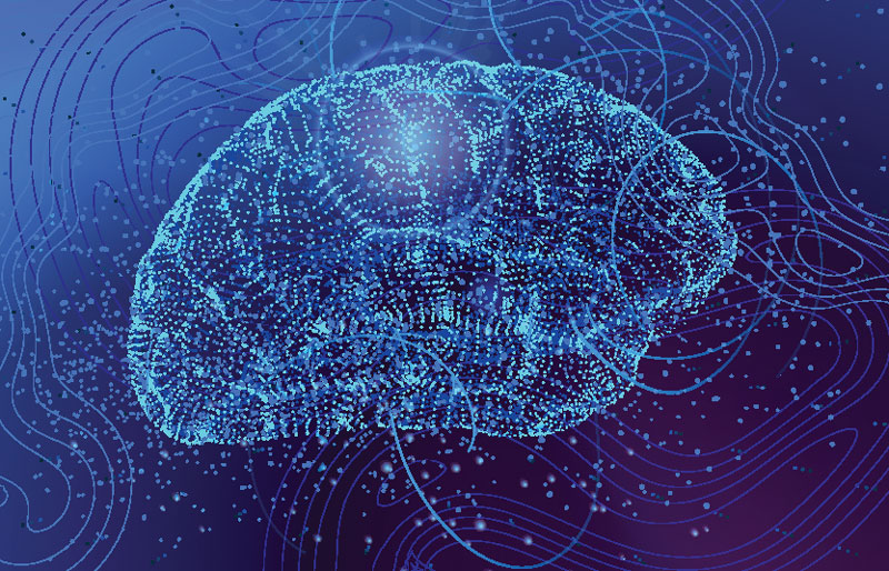 Image d’un cerveau humain dessiné avec un contour blanc sur un arrière-plan bleu.