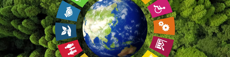 Top view of forest with globe and colourful sustainability symbol superimposed.