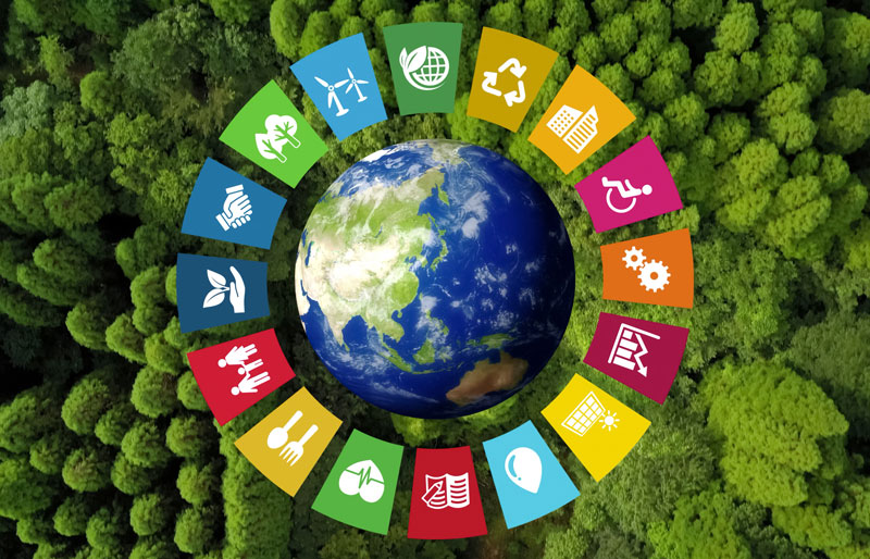 Vue aérienne sur une forêt verte avec un globe terrestre qui est situé au centre avec des symboles sur la durabilité qui l’encercle.
