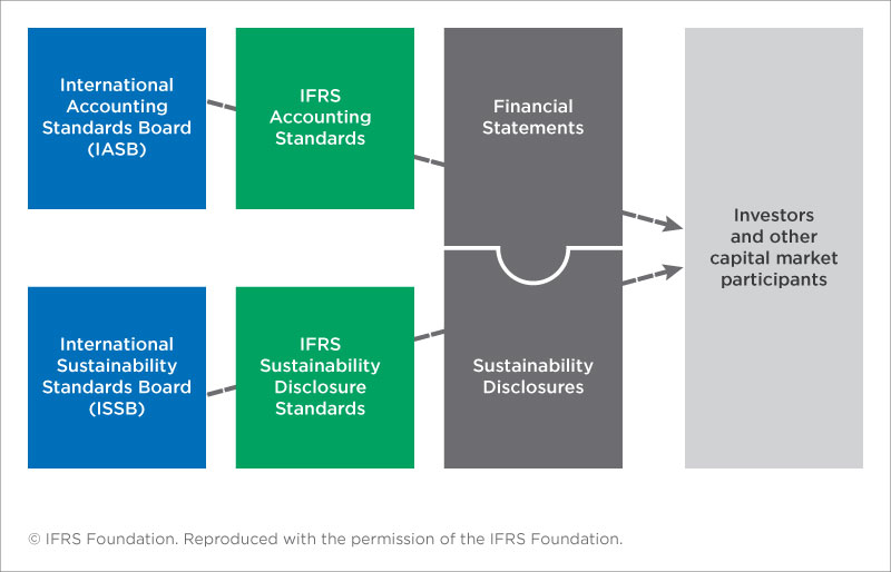Diagram outlining details of proposed sustainability disclosure standards.