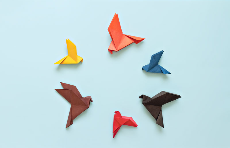 Colourful paper birds on blue background.