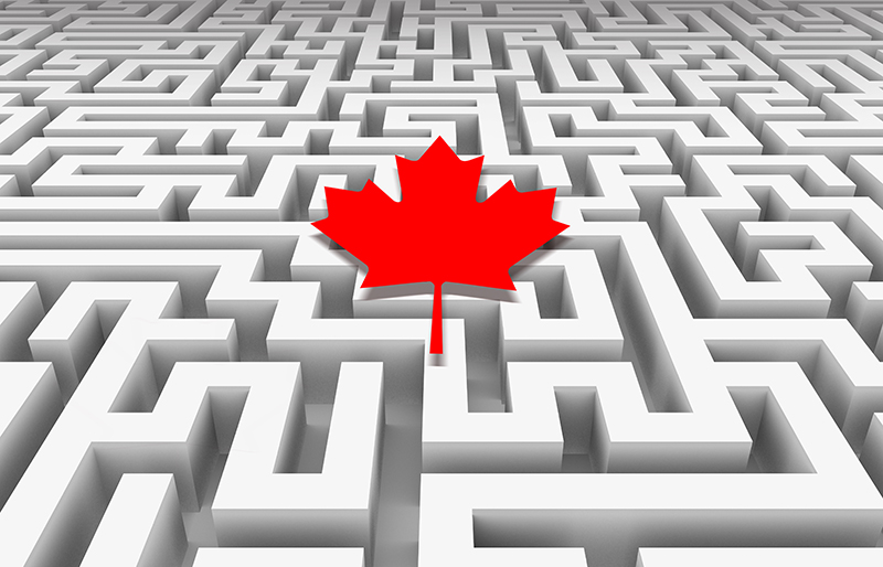 Canadian maple leaf lying over a confusing, never-ending maze
