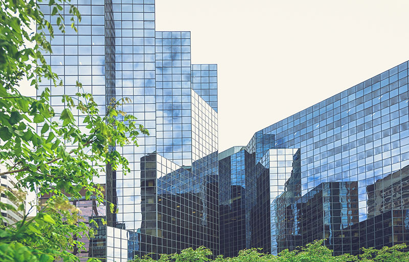Glass office buildings among green trees