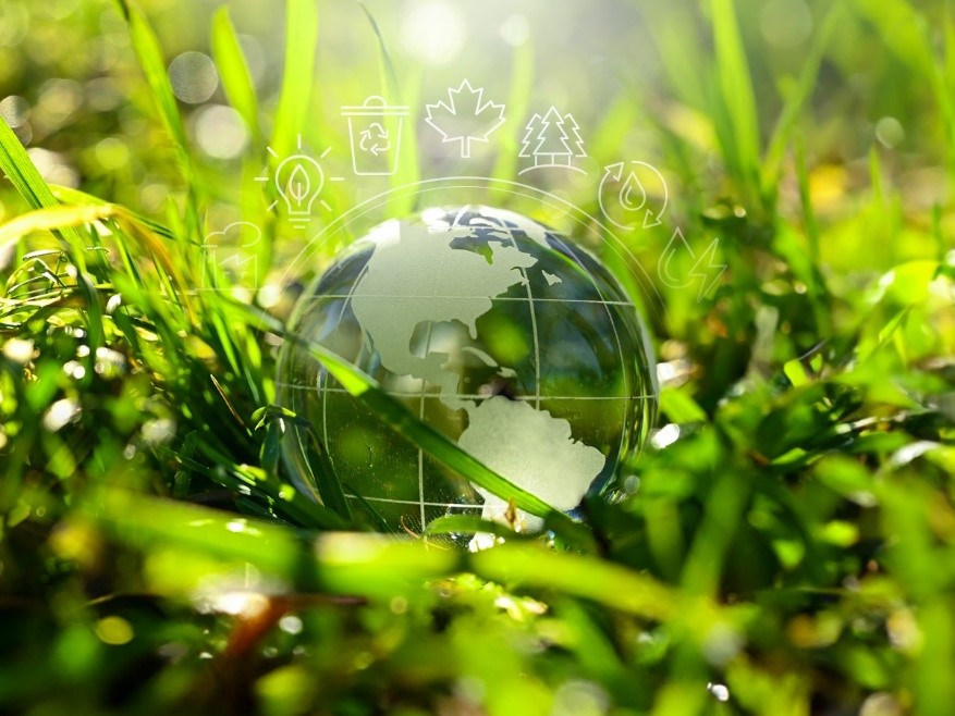 Un globe terrestre en verre repose dans l’herbe
